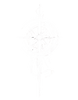White Four Winds Apparel compass logo with the number 4 at its center on a transparent background.
